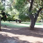 Sonja * إيزولا